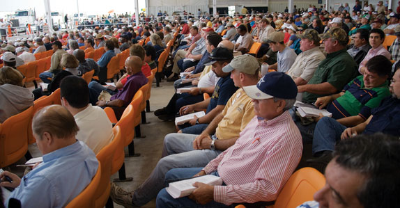 Crowd of equipment buyers on auction-day