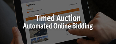 Timed Auction Lots Timed Auction Lots