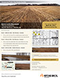 Download brochure (PDF)