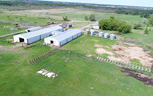 1792044 Alberta Ltd - Clark Sazwan